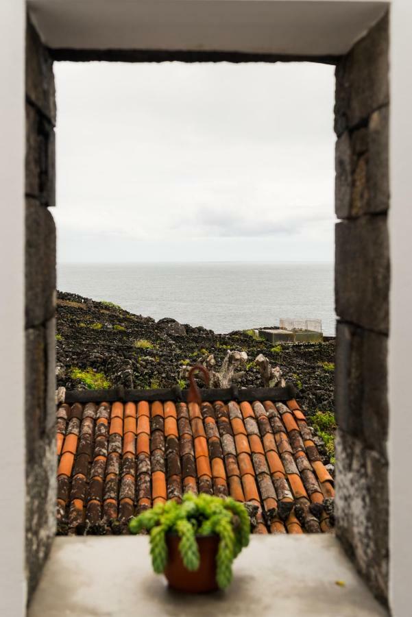 Ilheu Do Areeiro Guest House Madalena  Eksteriør bilde